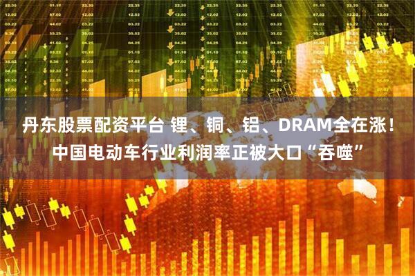 丹东股票配资平台 锂、铜、铝、DRAM全在涨！中国电动车行业利润率正被大口“吞噬”