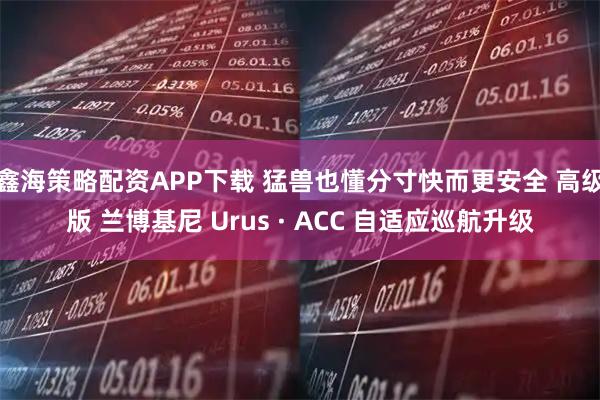 鑫海策略配资APP下载 猛兽也懂分寸快而更安全 高级版 兰博基尼 Urus · ACC 自适应巡航升级