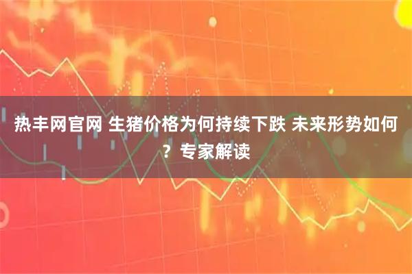 热丰网官网 生猪价格为何持续下跌 未来形势如何？专家解读